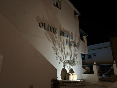 olivegrove - image 6