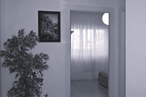 Fem House, Rome (photo 4)