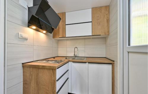 virtuve, 1 Bedroom Stunning Home In Blaskovec in Jesenovec