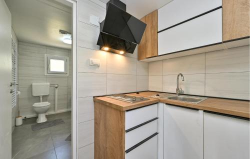 virtuve, 1 Bedroom Stunning Home In Blaskovec in Jesenovec