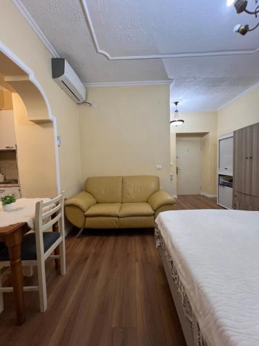 Alle's M Shyri studio apartment, Tirana (photo 3)
