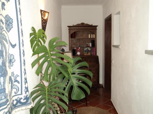 Alojamento Pero Rodrigues in Canaviais