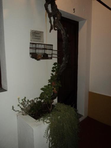 Alojamento Pero Rodrigues in Canaviais