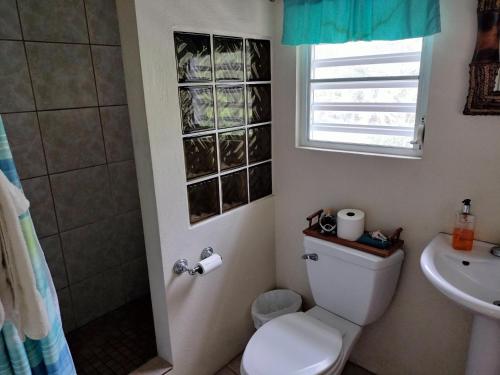 Casa de Tortuga Guesthouse - image 11