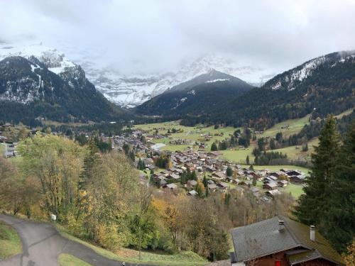 Surrounding environment, Les Fleurettes in Les Diablerets