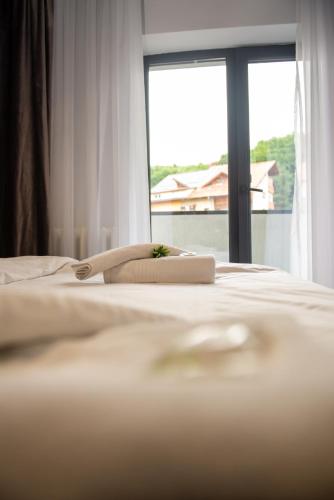 Alipn Haven Brasov