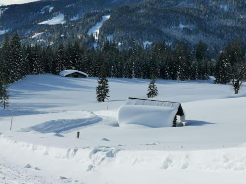 Sonnige ruhige Fewo Bergpanorama auf 1200m mit Süd Balkon (Sonnige ruhige Fewo Bergpanorama auf 1200m mit Sud Balkon) in Muhlbach
