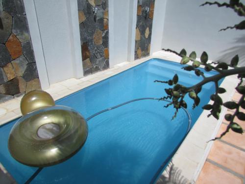 مسبح, Dreamhome in بالاكلاف
