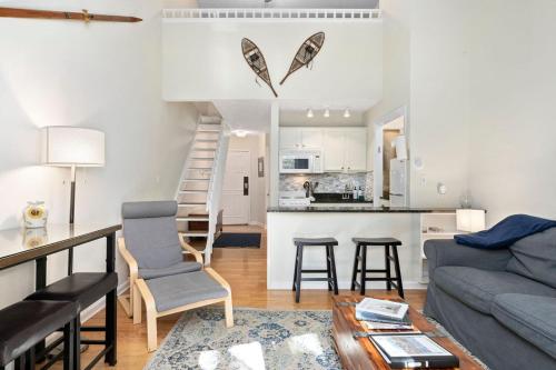 Ski-inski-out, Pet-ok Condo, Walk To Wintergreen in Roseland, USA