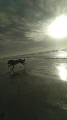 Miriam, Balneário Gaivotas (Foto 2)