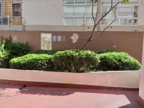 View, Punta Mogotes - Departamento con cochera- Solo con sena- in Bosque Peralta Ramos