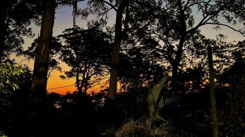 Sunset Palms, Smiths Lake (foto 7)