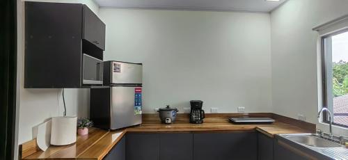 köök, APARTAMENTOs HABY 2 in Paquera