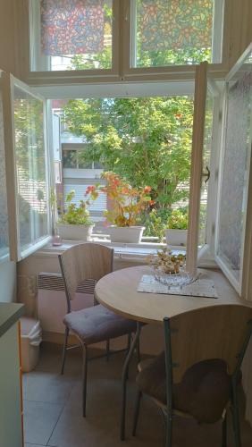 베오그라드 Jelena Apartment 3성급 싱글룸 레스토랑