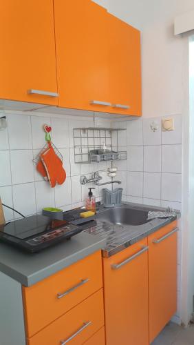 베오그라드 Jelena Apartment 3성급 싱글룸 로비