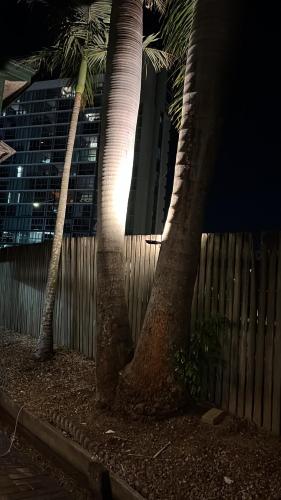 Palm Hamilton Backpackers  in Brisbane