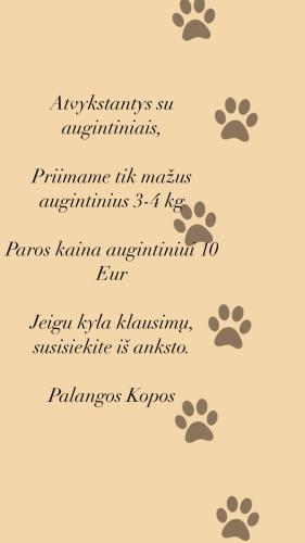 Apartamentai-studija Palangos kopos in Palanga