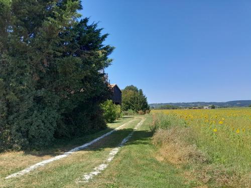 المنطقة المحيطة, Hortensia & Rose Gites in Prayssas