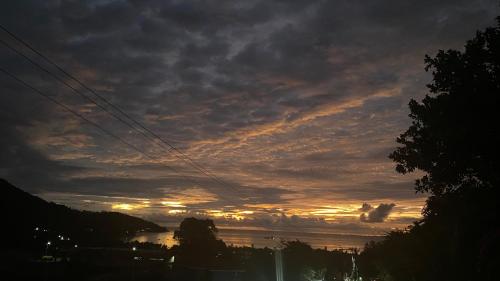 سكن ستيفنا سكن ستيفنا