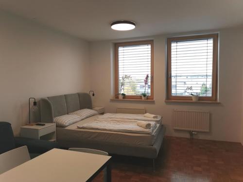 Dunajska Apartment, Liubliana (foto 3)