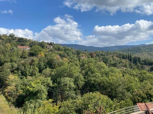 Karyatida in 華爾維薩拉哥尼亞斯