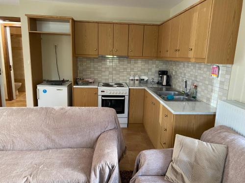 Karyatida in 華爾維薩拉哥尼亞斯