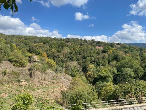 Karyatida in 華爾維薩拉哥尼亞斯