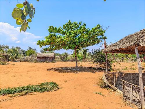 Bemaso plage in Ifaty
