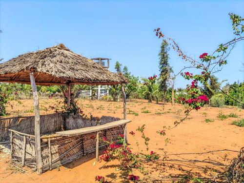 Bemaso plage in Ifaty