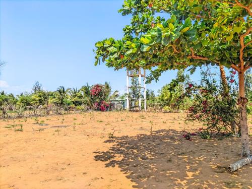 Bemaso plage in Ifaty