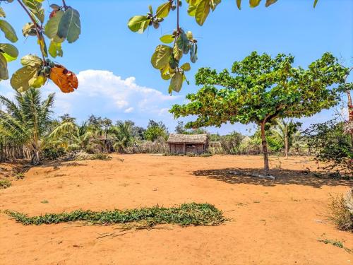 Bemaso plage in Ifaty