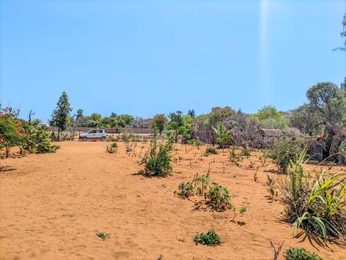 Bemaso plage in Ifaty