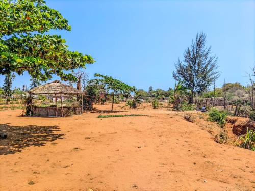 Bemaso plage in Ifaty