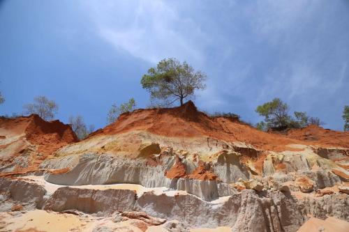 Beautiful natural surroundings