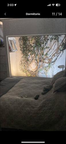 Confortable, San Luis (fotografie 8)