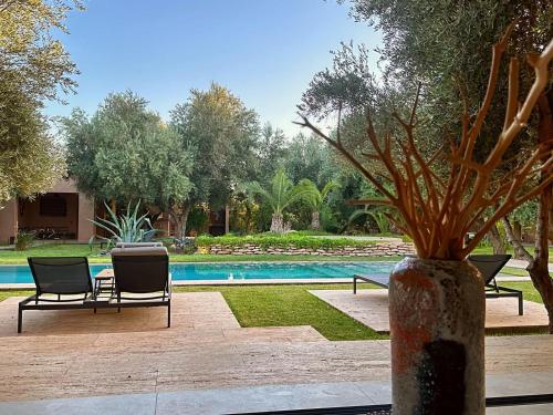Jardin Sakina - Séjour paisible avec soins bien-être à 35 minutes de Marrakech - image 14
