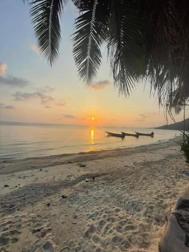 Bank Guesthouse - Surat Thani - 주변 환경