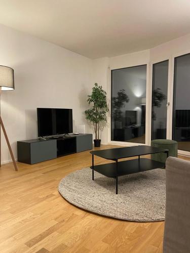 Apartments in Zelgstrasse-Zurich 3