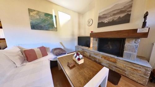  Los Altos de Escarrilla - tucasaenlospirineos in Escarrilla