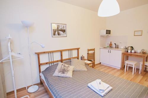 Zona Sna Mini Hotel on Marksa
