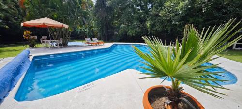 Quinta campestre Amor Secreto. Alojamiento entero en renta in Temixco, Mexico