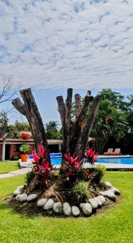 Quinta campestre Amor Secreto. Alojamiento entero en renta in Temixco, Mexico