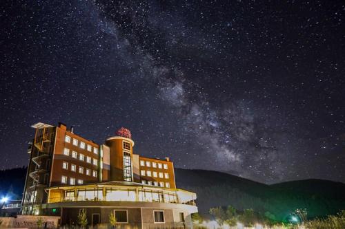 Black Forest Hotel - image 8