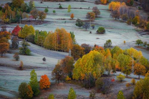 Black Forest Hotel - image 13