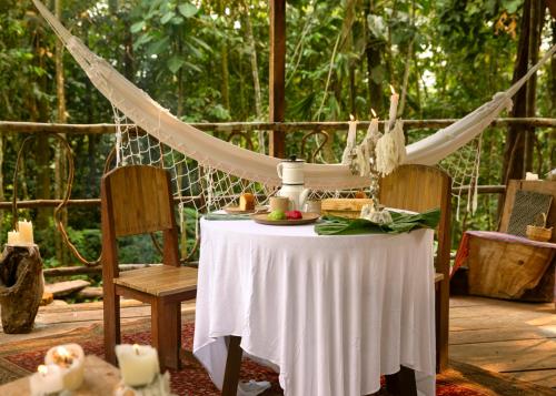 Bosque Guardian Lodge in Tarapoto