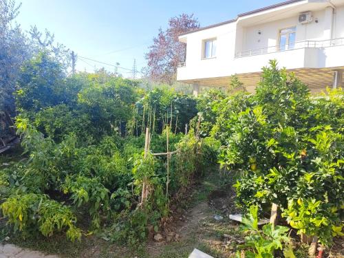 ทัศนียภาพ, Stone House Hostel Elbasan in เอลบาซาน