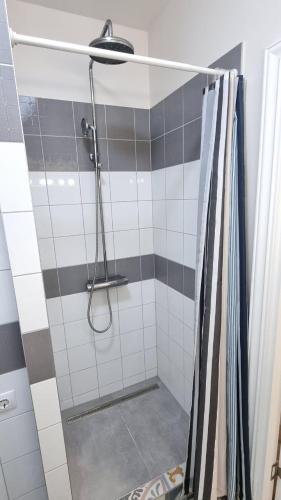 Marijas City Center Apartment, Riga (photo 3)