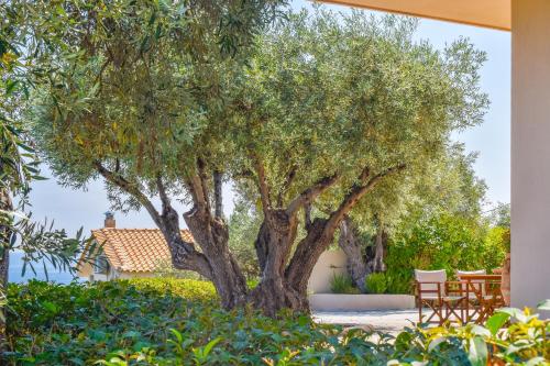 Apartments Villa L&M Skiathos - image 6
