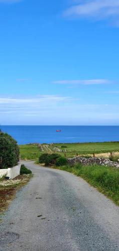 Wild Atlantic Seaside Cottage in Easky