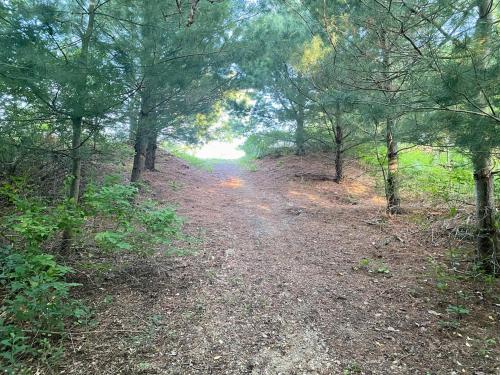 8 Acres on Betsie River River front Trails Disc golf in Thompsonville, USA